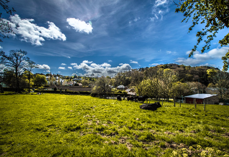 Conwy_blog